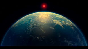 Webb spots strongest 'hints' yet of life on distant planet