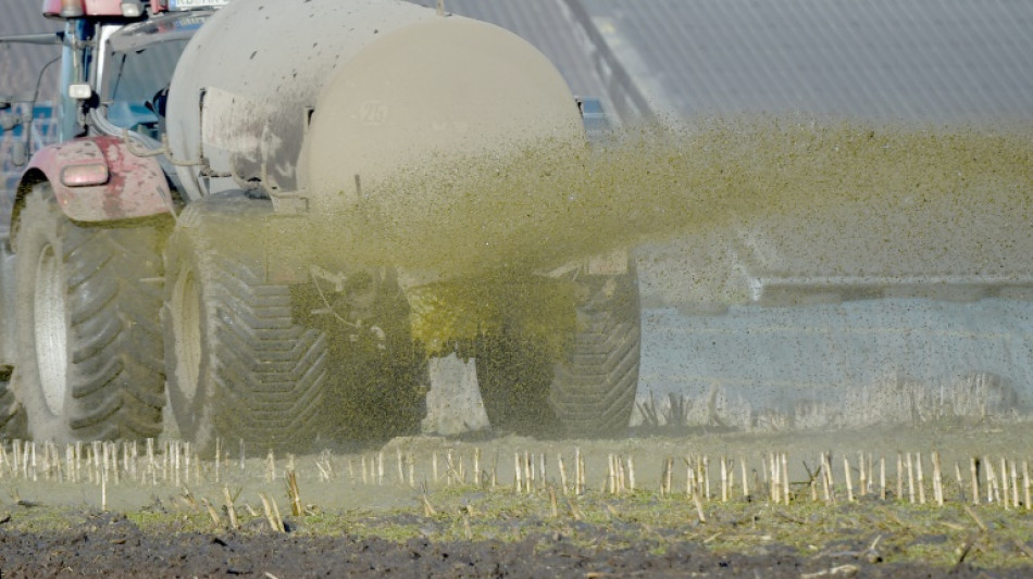 Gülle in Pool von Ferienhaus geweht: Landwirt haftet für Verschmutzung