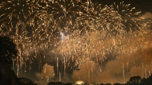 Fuegos artificiales por independencia de EEUU provocaron humo t&oacute;xico en Washington