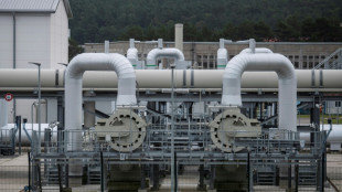 EU plans two-thirds cut in Russian gas imports this year