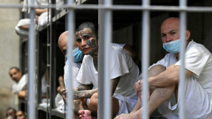 Para especialistas da ONU, EUA negou 'devido processo' a migrantes presos em El Salvador