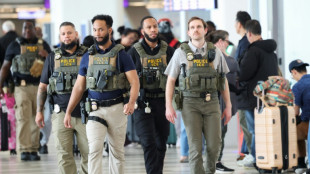 EEUU despliega agentes del ICE en aeropuertos en medio del caos por el bloqueo presupuestal