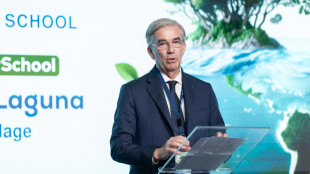 Confartigianato: 'Bene l'accordo Ue-Mercosur ma tutelare le pmi'