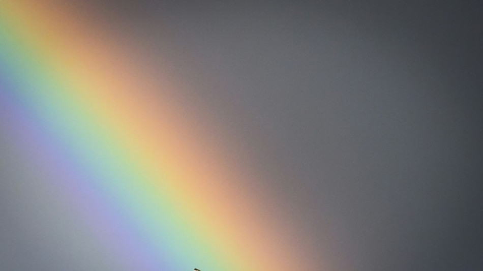 Pricing birdsong: EU mulls nature credits to help biodiversity