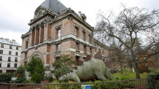 Appel aux dons pour restaurer un b&acirc;timent embl&eacute;matique du Mus&eacute;um d'histoire naturelle