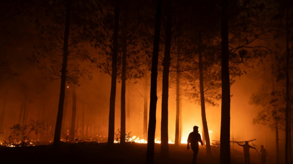Studie: Klimawandel trug zu Bedingungen f&uuml;r Waldbr&auml;nde in Argentinien und Chile bei