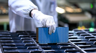 Los aranceles de EEUU podr&iacute;an impulsar la transici&oacute;n energ&eacute;tica del sudeste asi&aacute;tico