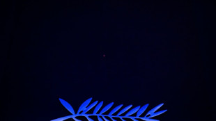 Os 22 filmes em competição no 78º Festival de Cannes