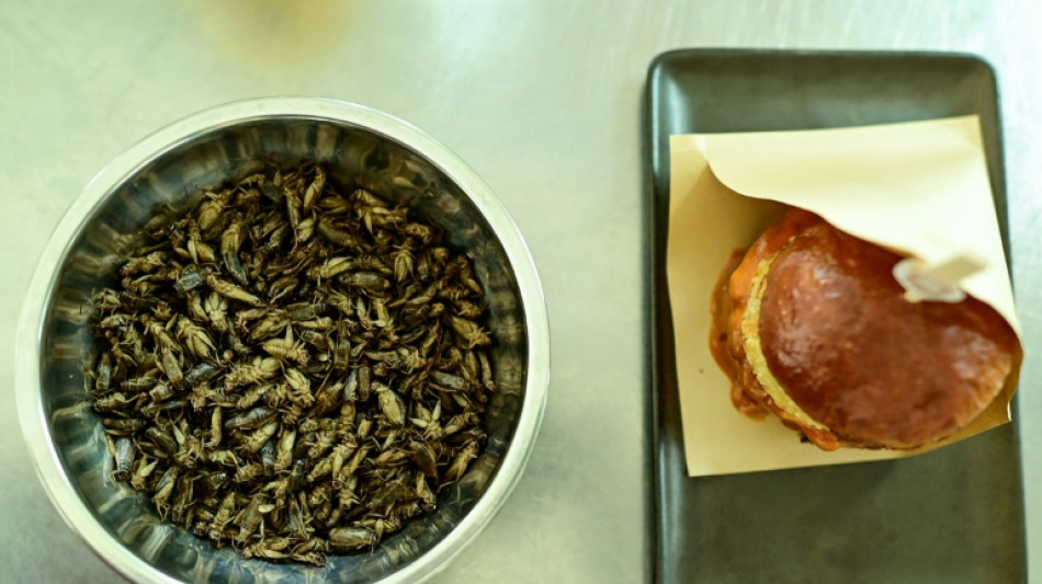 A Bangkok, les grillons cuisin&eacute;s &agrave; toutes les sauces