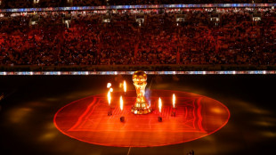 La asistencia del rey de Espa&ntilde;a a Catar es criticada por un partido del gobierno