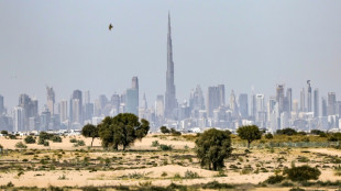 Duba&iuml; polit son image pour tenter de pr&eacute;server sa r&eacute;putation de ville s&ucirc;re malgr&eacute; la guerre