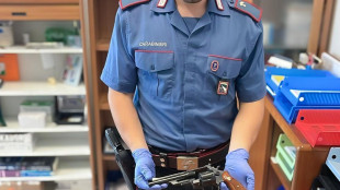 Spara a ladri per tentato furto, custode denunciato nel Bolognese