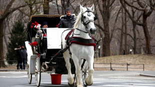 New York verso il divieto delle carrozze a Central Park, fine di un'era