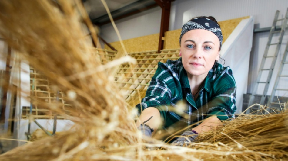 Irish school trains thatchers to save iconic roofs
