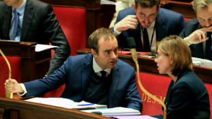 Les députés s'apprêtent à baisser le rideau sur la partie "recettes" du budget de l'Etat