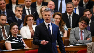 La ofensiva del Parlamento de Hungr&iacute;a contra la "mafia" de Orban gana impulso