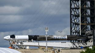 SpaceX se alista para lanzar misi&oacute;n hist&oacute;rica que prev&eacute; primera caminata espacial privada