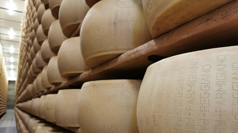 Da Bper finanziamenti a allevatori del Parmigiano Reggiano garantiti da 'Quote Latte'