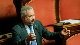 Borghi, su pensioni chiederemo al governo diversa riformulazione
