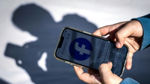 Protection des mineurs: l'Australie menace les g&eacute;ants de la tech d'amendes record