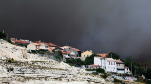 Incendie: le feu encore actif &agrave; Marseille mais baisse en intensit&eacute;