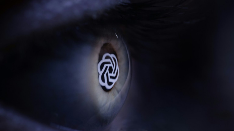 Medios y p&aacute;ginas web bloquean el bot de OpenAI por miedo al "saqueo" de contenido