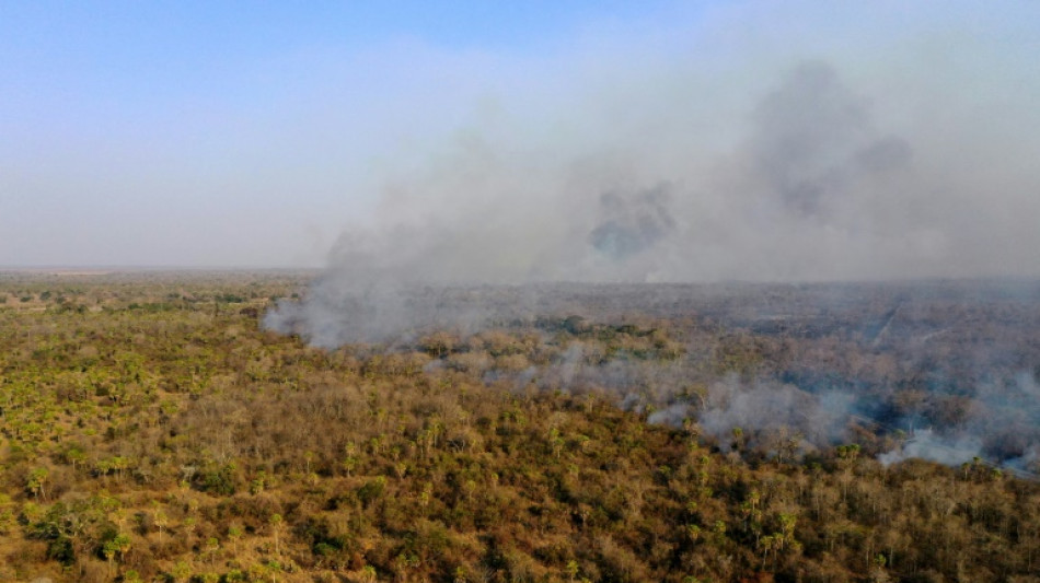 Incendios forestales en Bolivia han alcanzado este año a casi 300.000 hectáreas