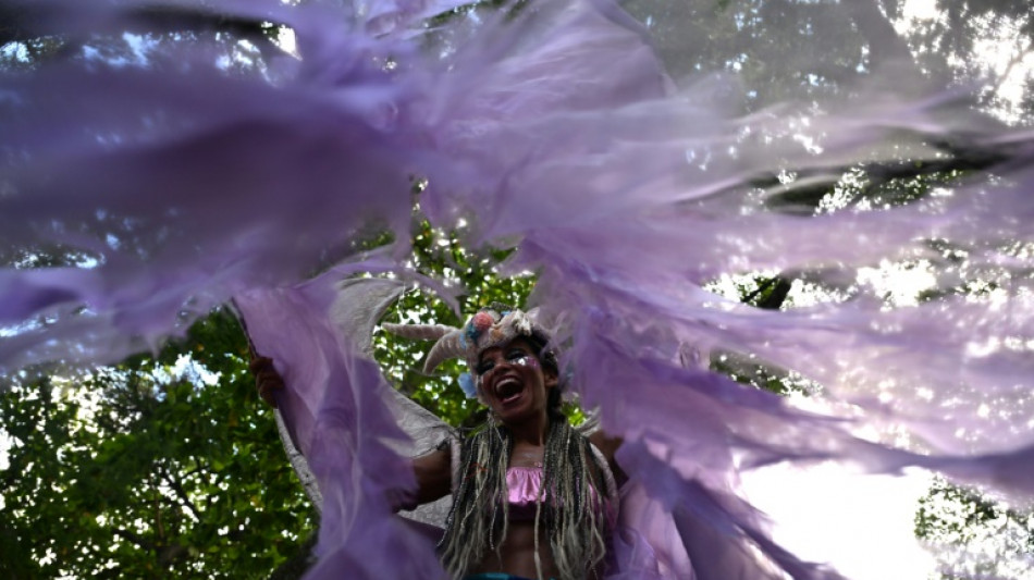 "Le carnaval est l&agrave;": &agrave; Rio, que la f&ecirc;te commence 