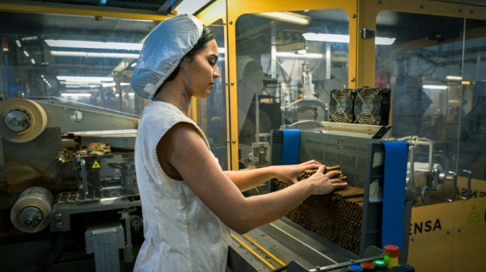 Los puros mecanizados de Cuba, el codiciado benjam&iacute;n de los habanos