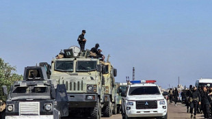 Une ONG accuse les forces syriennes d'avoir tu&eacute; 12 civils druzes