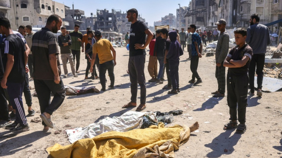 Les actos en Gaza "apuntan" a "un genocidio", alerta el Consejo de Europa