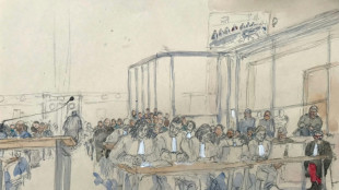 Proc&egrave;s des viols de Mazan: des avocats plaident pour des peines r&eacute;duites, voire l'acquittement