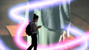 Miles de internautas privados de internet en Europa por ataque cibern&eacute;tico