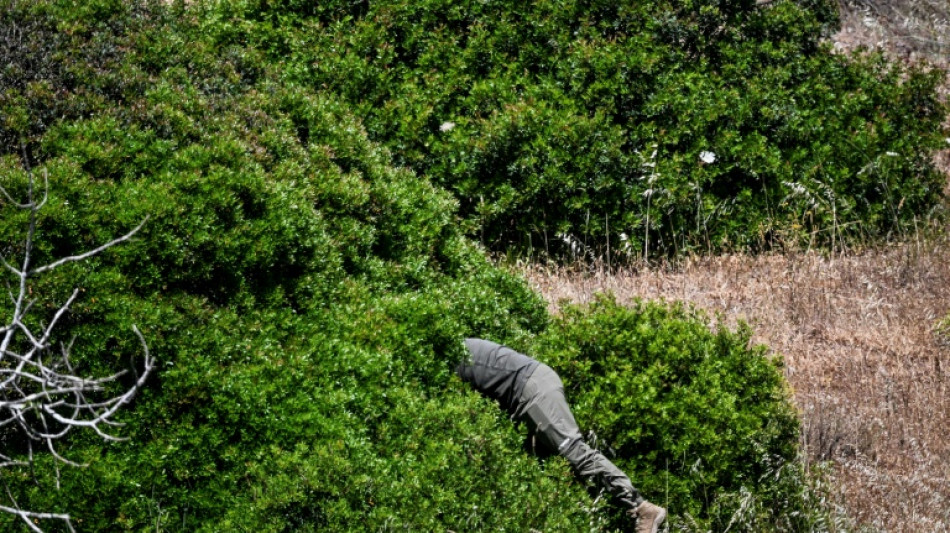 Tercer d&iacute;a de pesquisas en el caso Maddie en el sur de Portugal