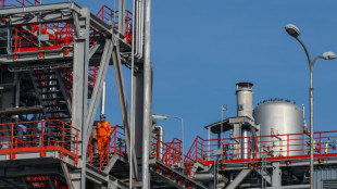 EEUU concede una licencia temporal a una petrolera serbia controlada por Rusia