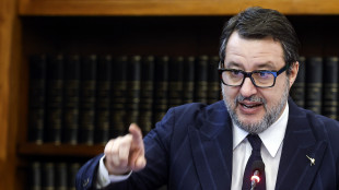 Salvini, decreto sicurezza in arrivo, in cdm la settima prossima