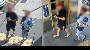 Australie: 2 personnes recherch&eacute;es pour avoir pris le train avec un ornithorynque
