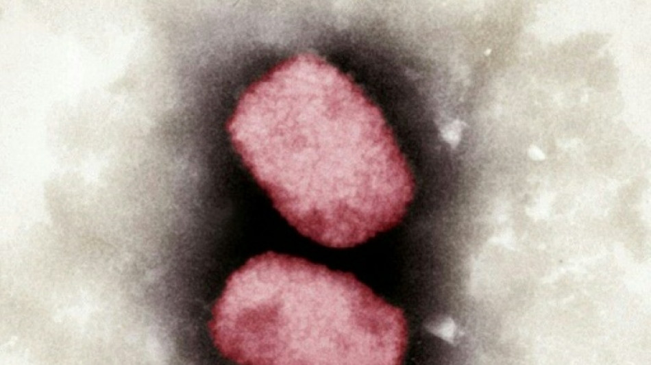 Fachverb&auml;nde mahnen rasches und konsequentes Handeln gegen Affenpocken an