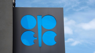P&eacute;trole: l'Opep+ augmente l&eacute;g&egrave;rement sa production pour le mois de novembre