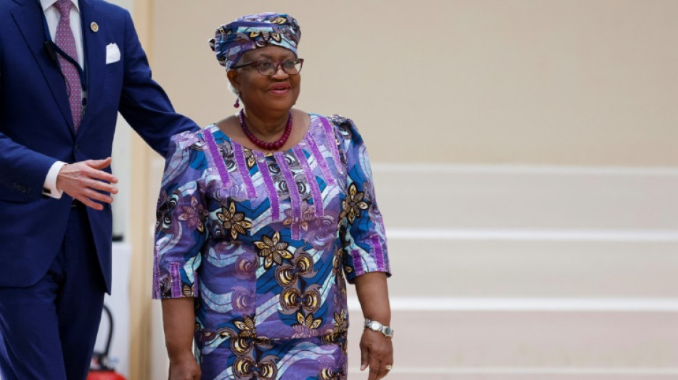 Tariff war could cut US-China goods trade by 80 percent: WTO chief