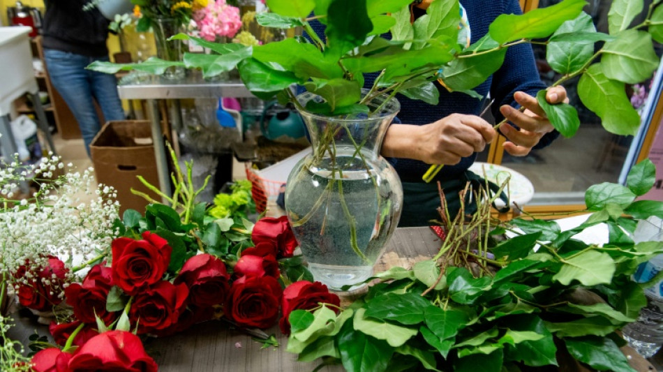 D&eacute;c&egrave;s d'une fillette li&eacute;e aux pesticides: la famille se pourvoit en cassation