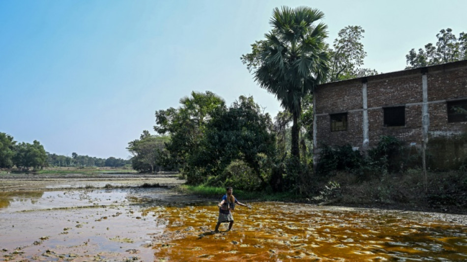 Battery boom drives Bangladesh lead poisoning epidemic