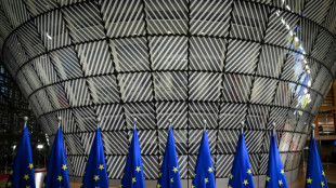 L'UE propose d'assouplir ses r&egrave;gles pour renvoyer les demandeurs d'asile