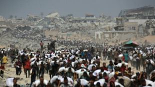 La ONU y la cuesti&oacute;n palestina
