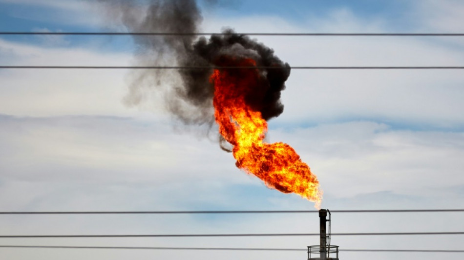 TotalEnergies impliqu&eacute; dans 33 projets fossiles "catastrophiques pour le climat", accuse Greenpeace