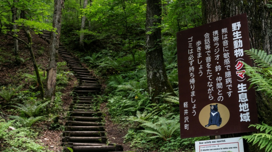 Un gobernador japonés pide ayuda militar ante los ataques de osos