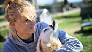 En Normandie, un sanctuaire pour donner une seconde vie aux animaux martyris&eacute;s