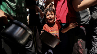 Gaza: neuf enfants d'un couple de m&eacute;decins tu&eacute;s dans une frappe isra&eacute;lienne selon les secours