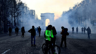 Les convois antipass &agrave; Paris, sur les Champs-&Eacute;lys&eacute;es