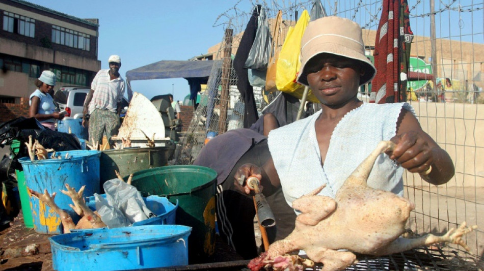 La industria del pollo en Sud&aacute;frica, amenazada por su "peor" brote de gripe aviar